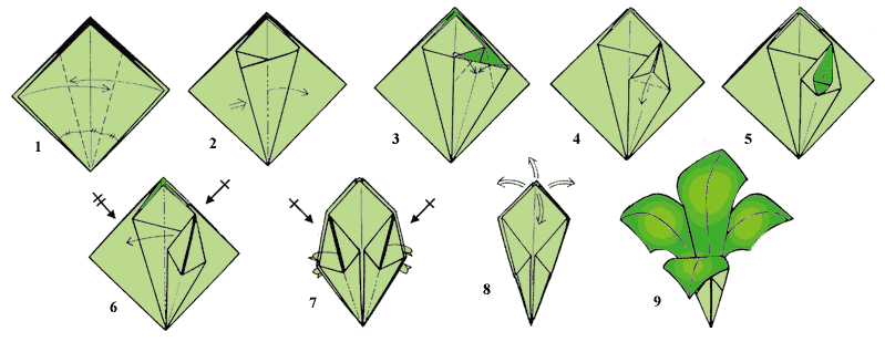 Лилия оригами из бумаги схемы поэтапно